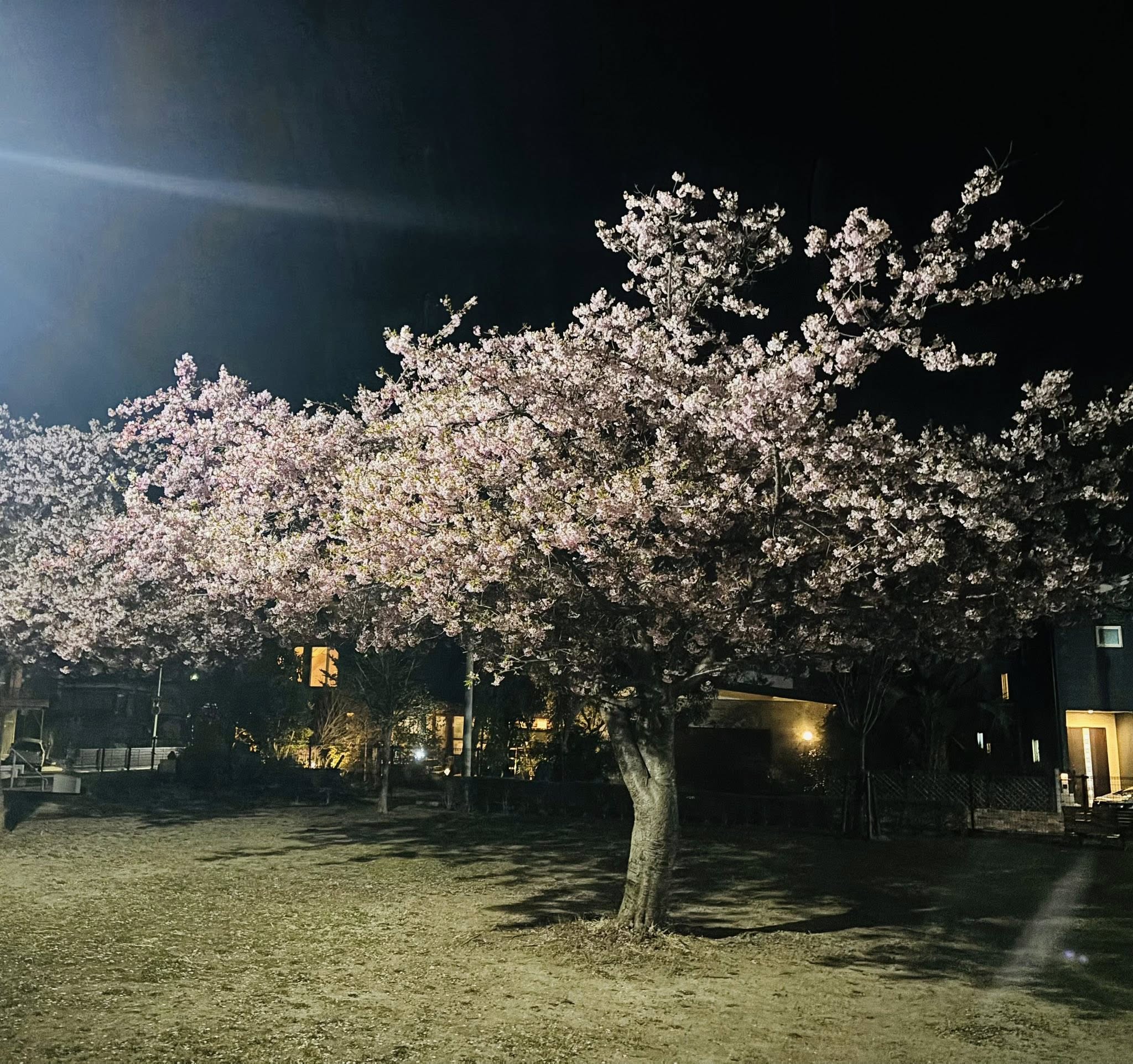 651847760_1639937563797730_7382246389749358599_n