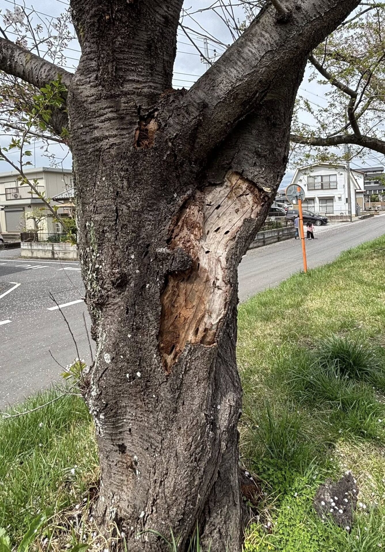 662101641_1655842085540611_1903378962097648757_n